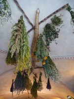/album/fotogalerie-muzeum-alchymie-speculum-alchemiae-nejtajemnejsi-dum-v-praze/speculum-alchemiae-prague-jpg/